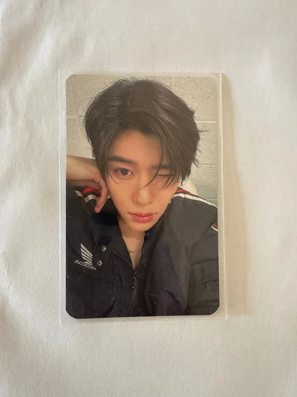 steady INTERASIA SION