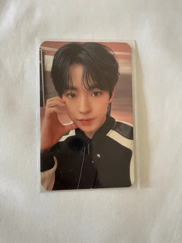 steady INTERASIA YUSHI