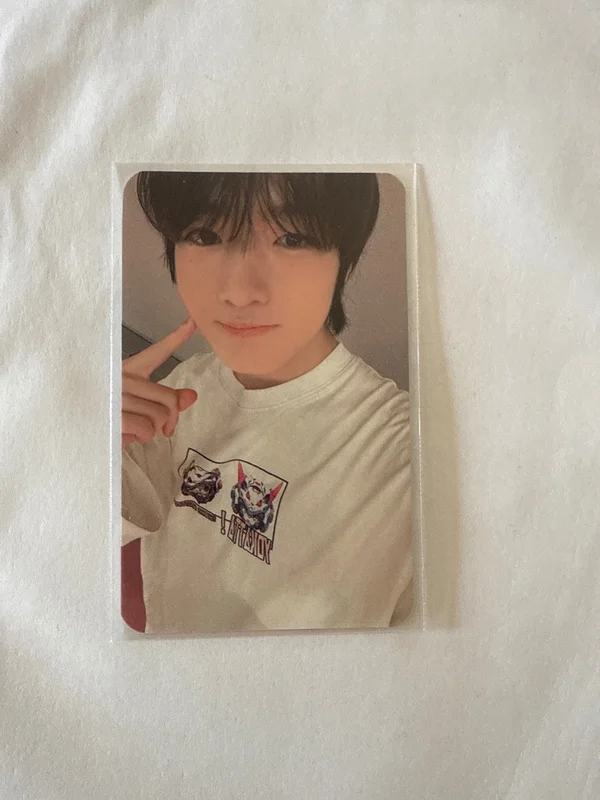 steady INTERASIA SAKUYA