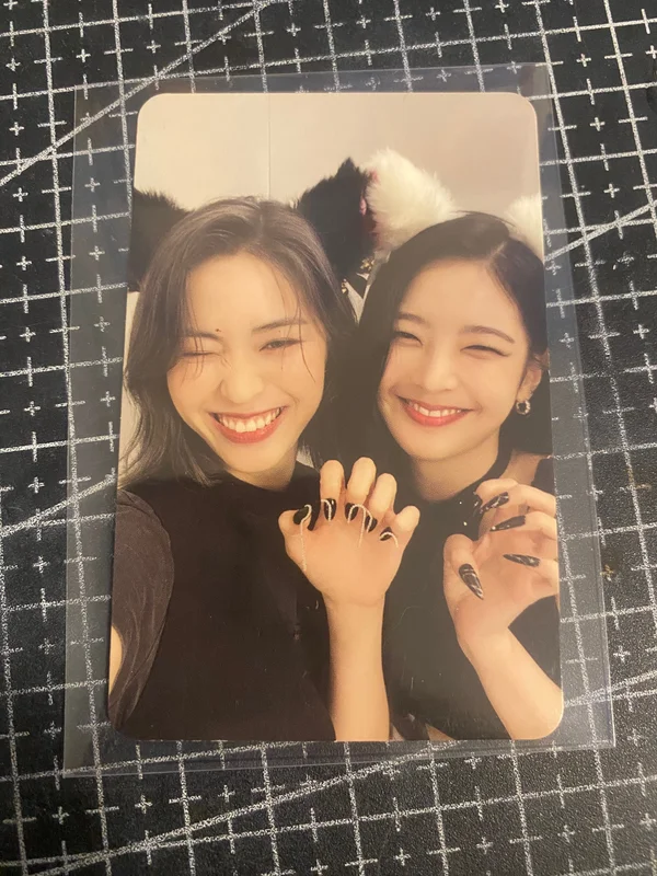 CHESHIRE STANDARD EDITION