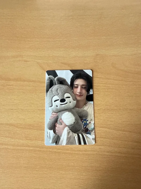 Stray Kids World Tour dominATE : celebrATE SKZOO PHOTOCARD TINCASE