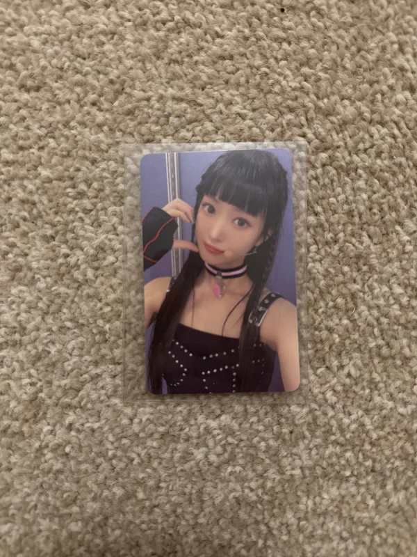 Rose Blossom