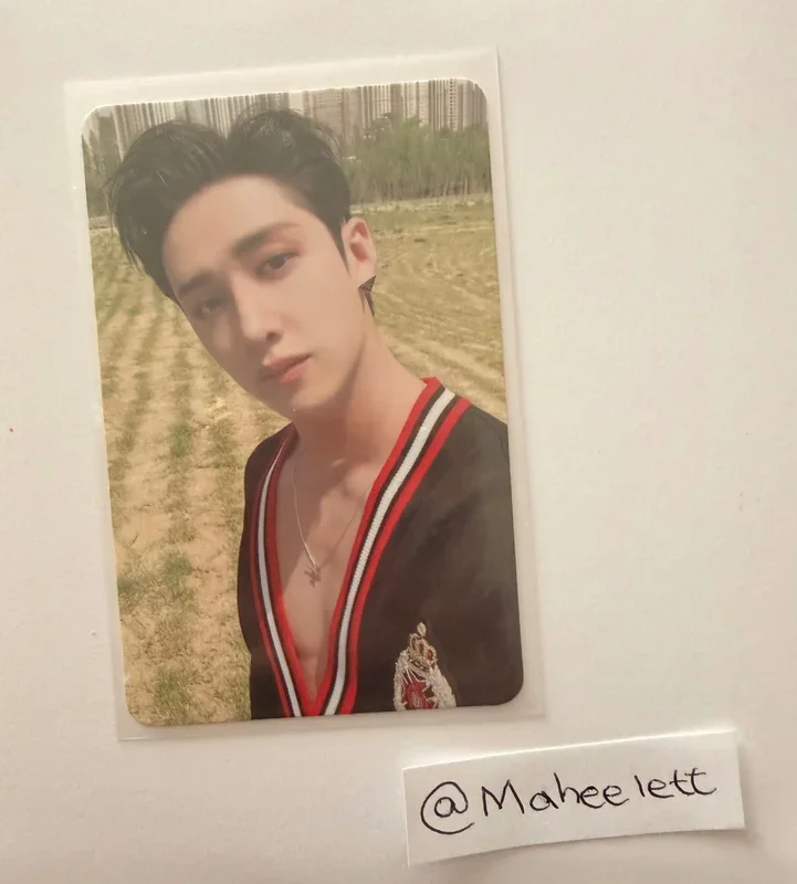 BANG CHAN | MAXIDENT