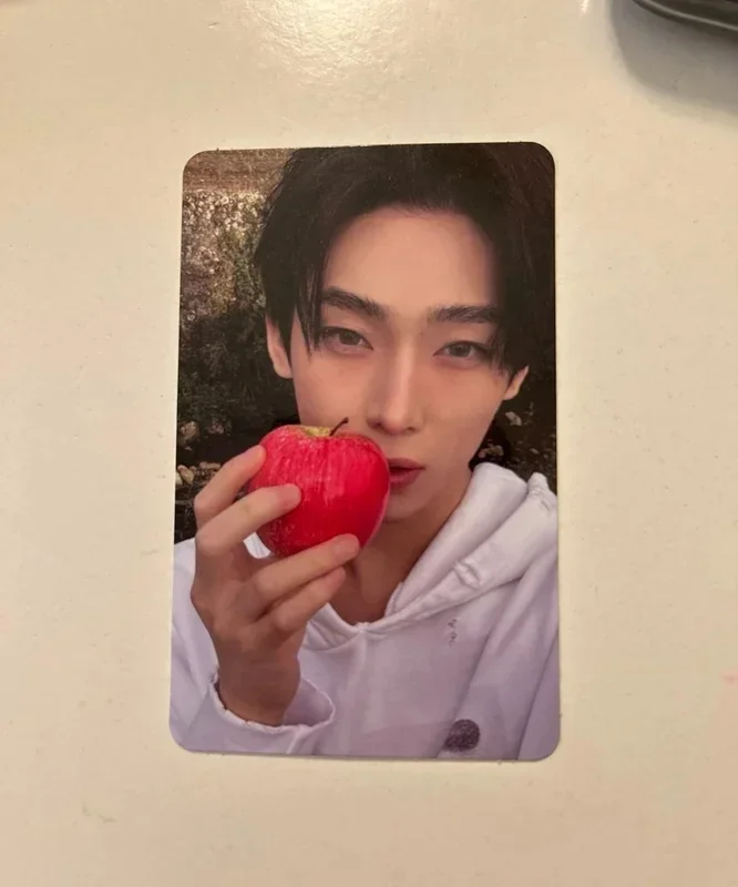 THE SIN : VANISH FUGITIVES Ver.