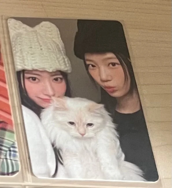 UNFORGIVEN WEVERSE ALBUMS Ver.