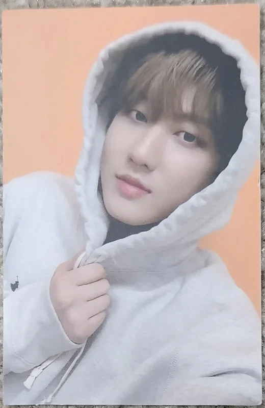 GOlive STANDARD VER.