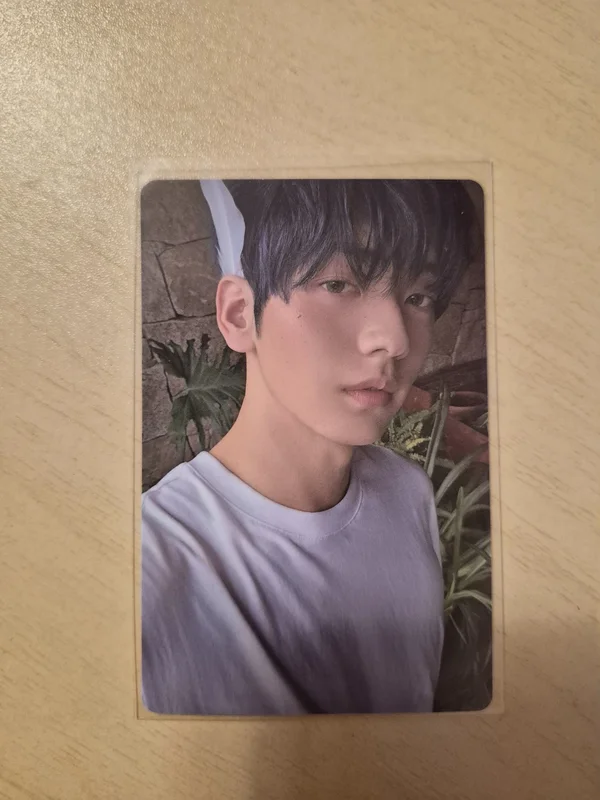 The Star Chapter: SANCTUARY ANGEL Ver.