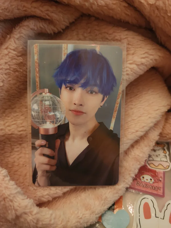 OFFICIAL LIGHT STICK CASE