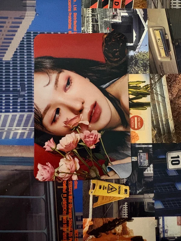 Bloom