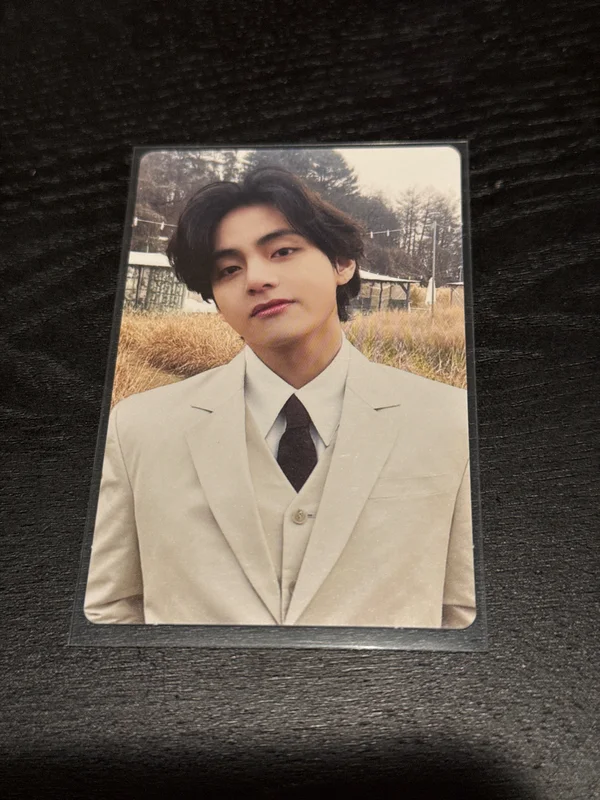 Special 8 Photo-Folio Me, Myself, and V Veautiful Days