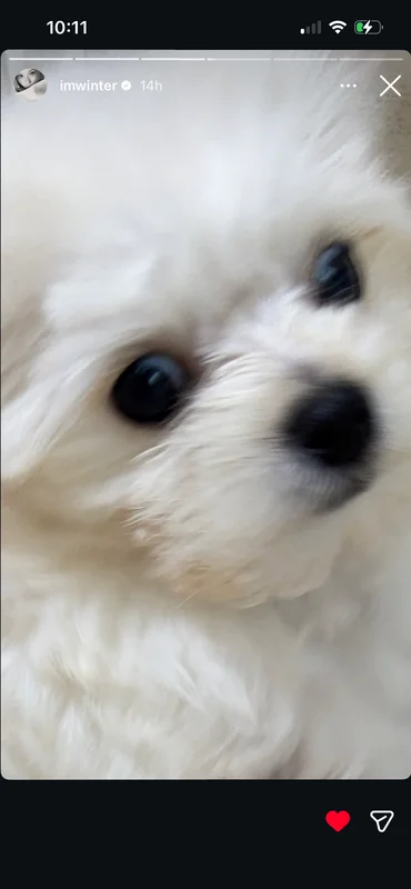 minjuing