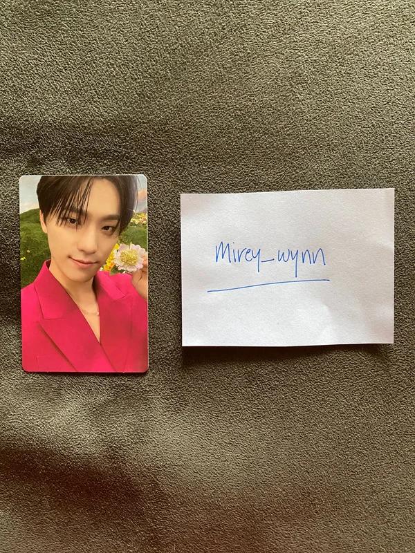 Sector 17 - Compact Dino Photocard