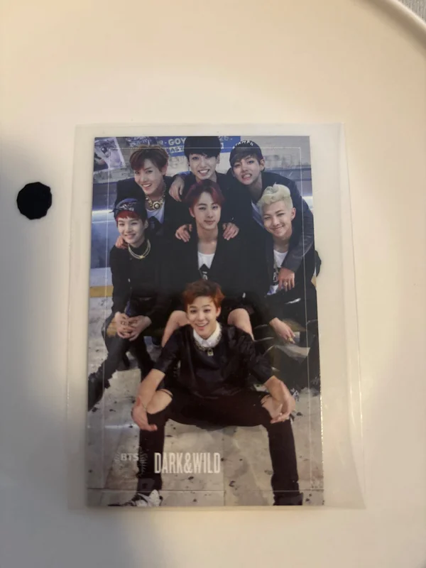 DARK&WILD
