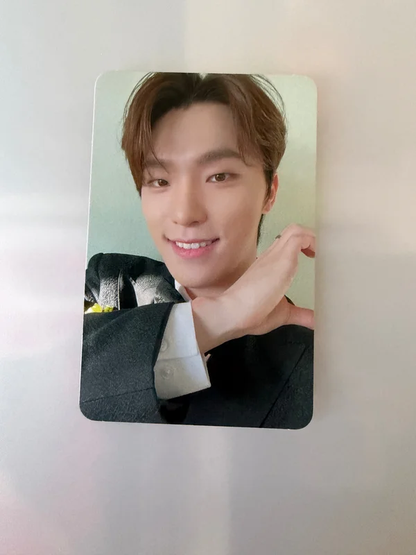 Dino Seventeen FML CARAT Ver.