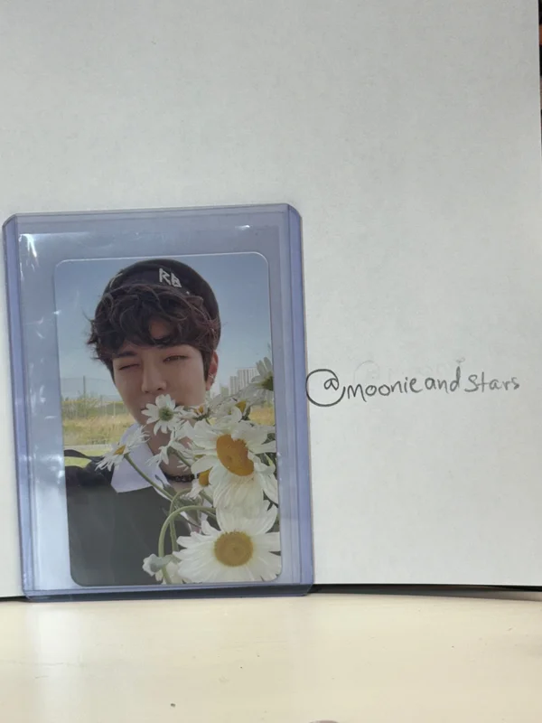 Seungmin MAXIDENT Stray Kids photocard