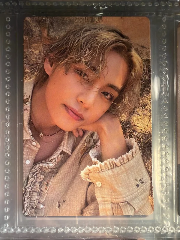 Layover (V) album pc