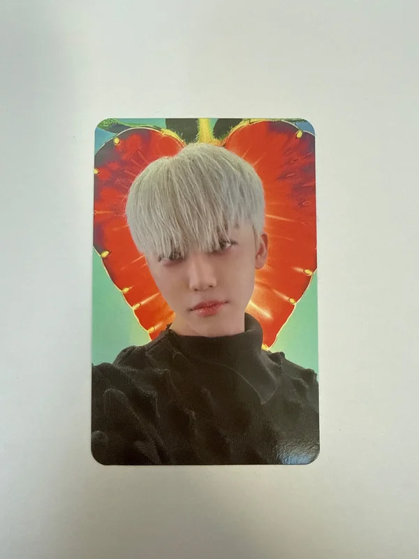 DREAM( )SCAPE DREAMini Ver.