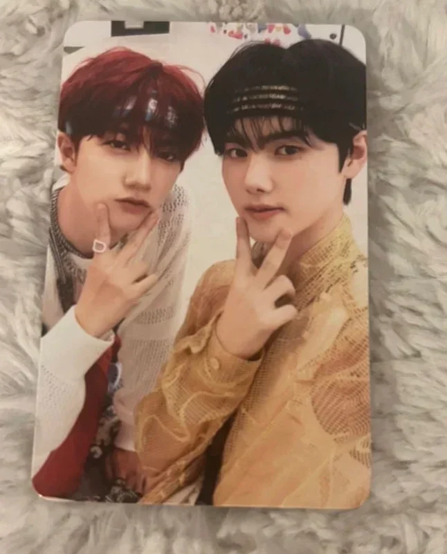 SUN SEEKER CATCHER VER.