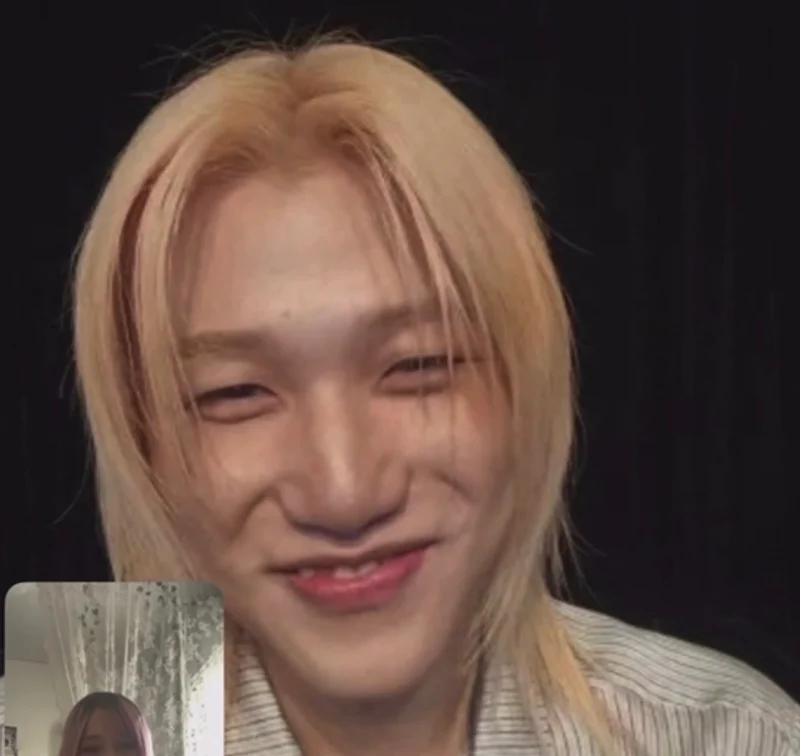 myseobies