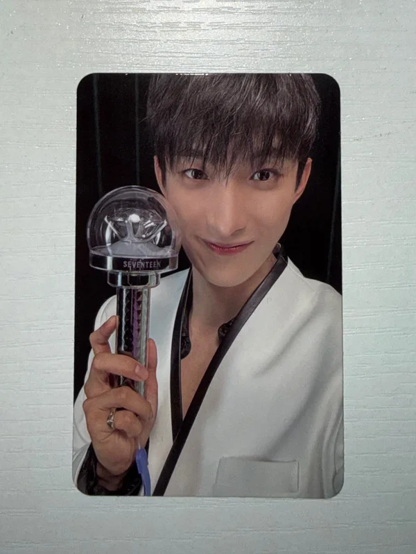 SEVENTEEN RIGHT HERE WORLD TOUR CARAT ZONE