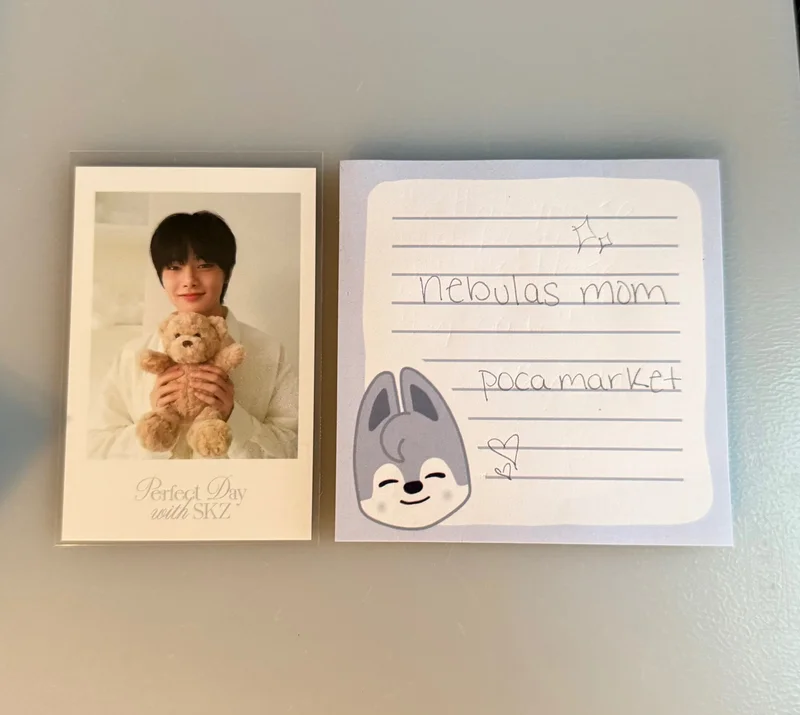 Stray Kids 2024 SEASON'S GREETINGS - Perfect Day with SKZ