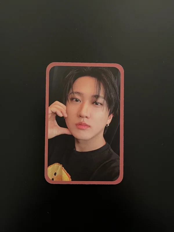 Stray Kids : The dominATE Experience