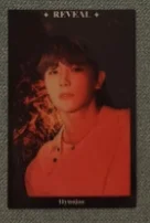 REVEAL Wolf Ver.