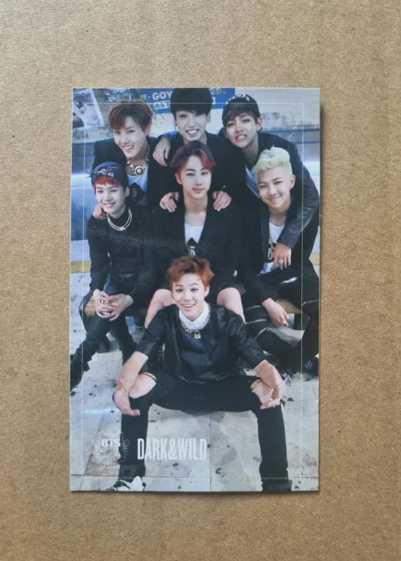 DARK&WILD