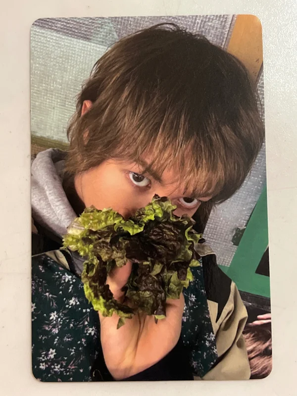 GREENGREEN MUSICART