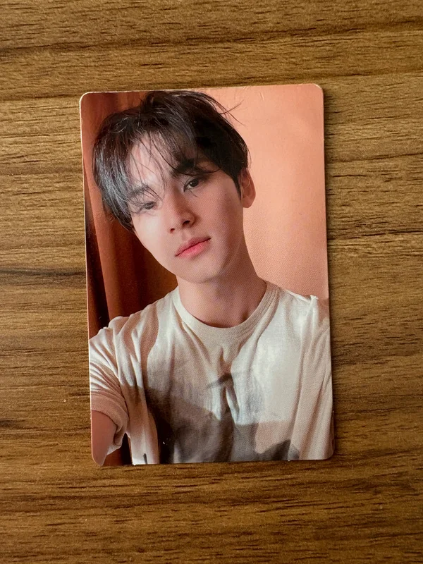 Face the Sun CARAT Ver.