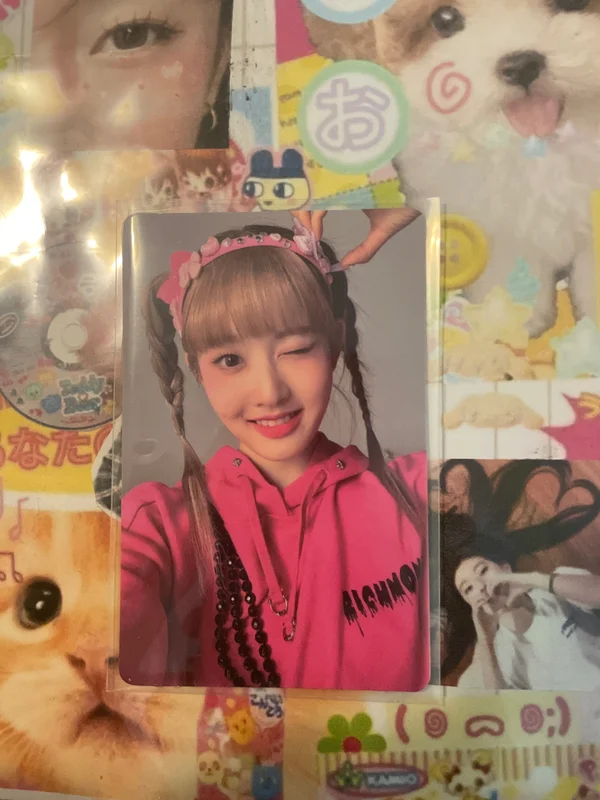 Teddy Bear FUN Ver.