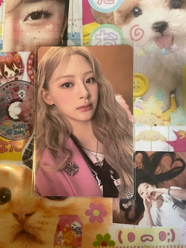 Teddy Bear TOGETHER Ver.