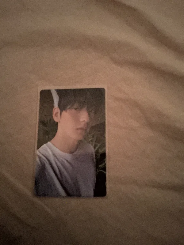 The Star Chapter: SANCTUARY ANGEL Ver.