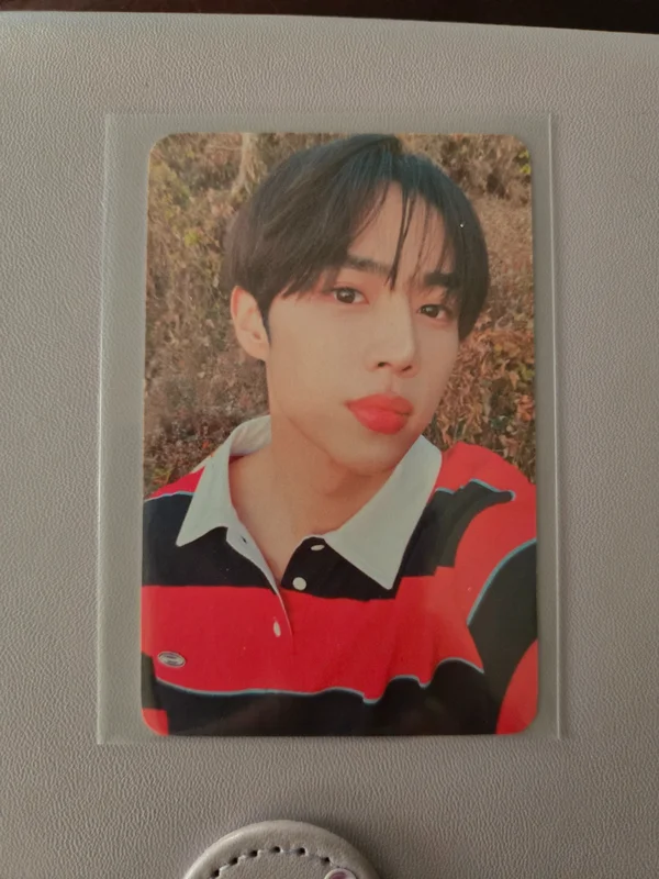 [DAZED] BON, BOYZ, VOYAGE : THE BOYZ EVERLINE