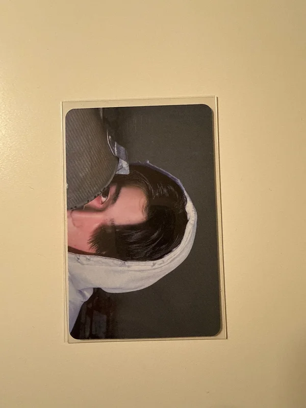 THE SIN : VANISH APPLEMUSIC