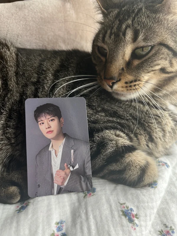 HOP Target Exclusive