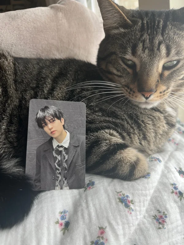 ATE Target Exclusive