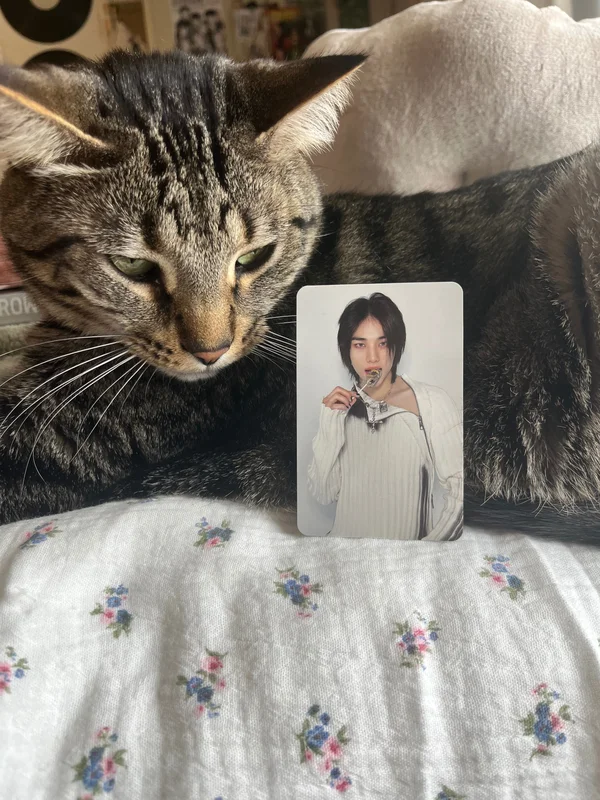 Rockstar Target Exclusive