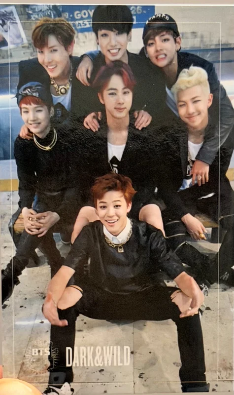 DARK&WILD