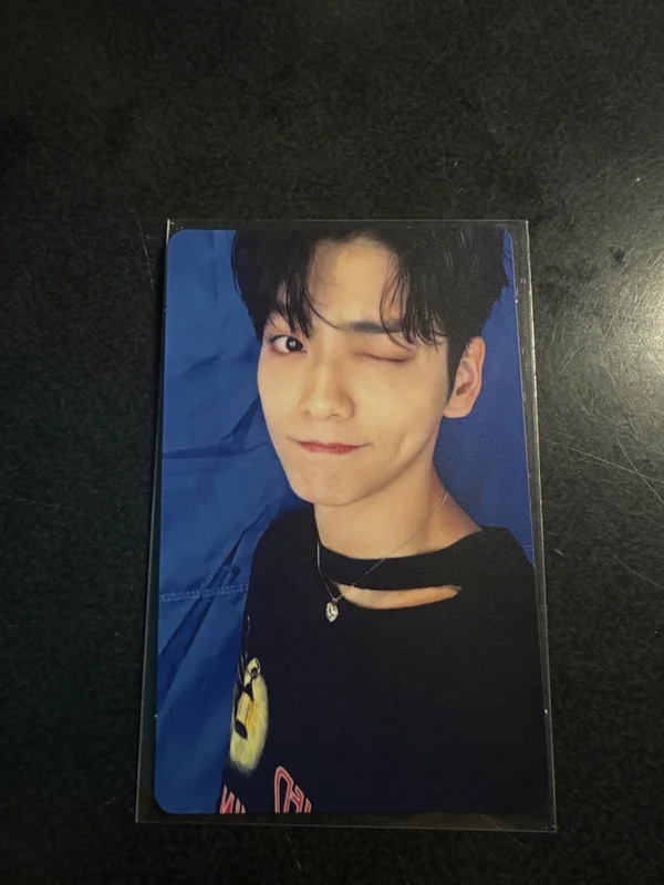 Chaotic Wonderland UNIVERSAL