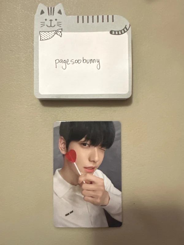 The Star Chapter: Sanctuary Lover Ver.