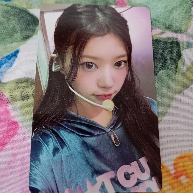 NOT CUTE ANYMORE dingo music GIFT