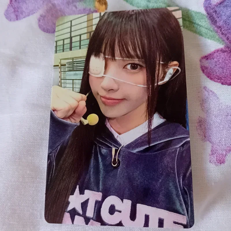 NOT CUTE ANYMORE dingo music GIFT