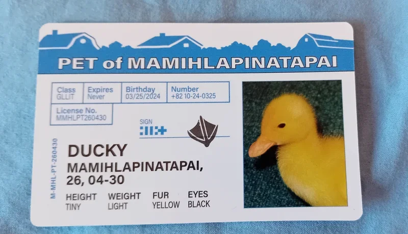Item image 2