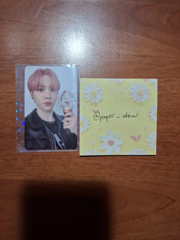 OFFICIAL LIGHT STICK CASE