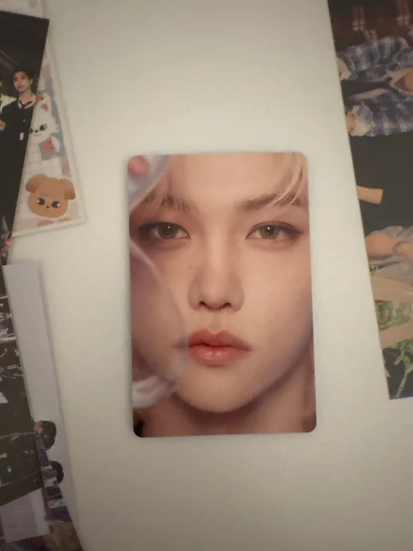 DICON D'FESTA MINI EDITION : Stray Kids