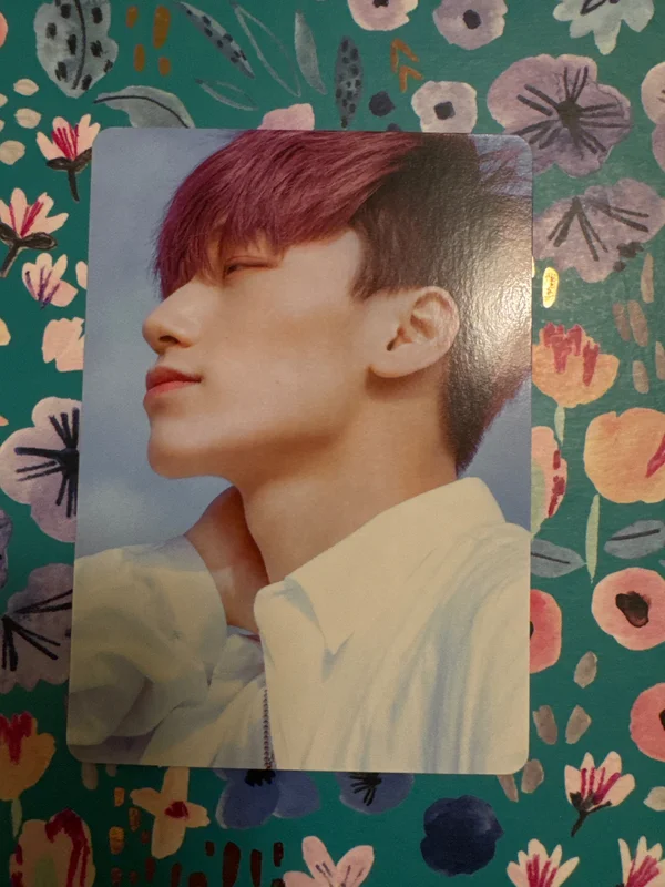 SAN Dreamers STANDARD