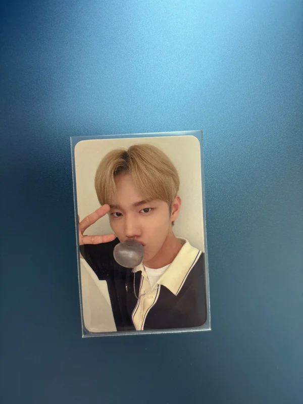 HARMONY : ALL IN EVERLINE