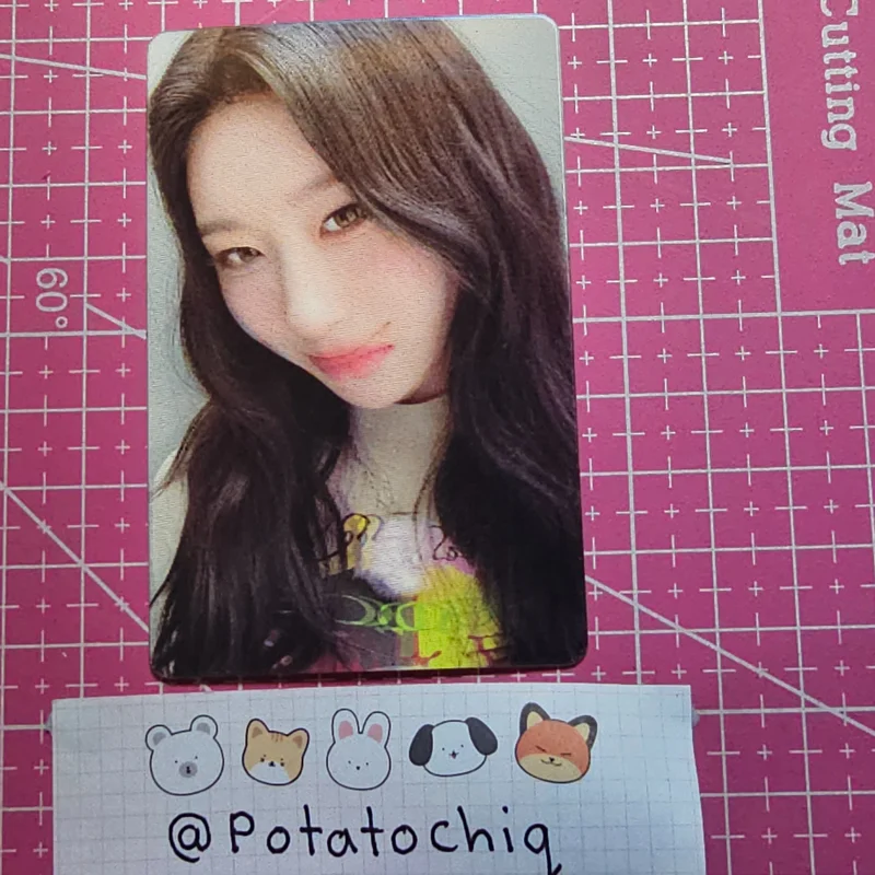 CHESHIRE LIMITED EDITION