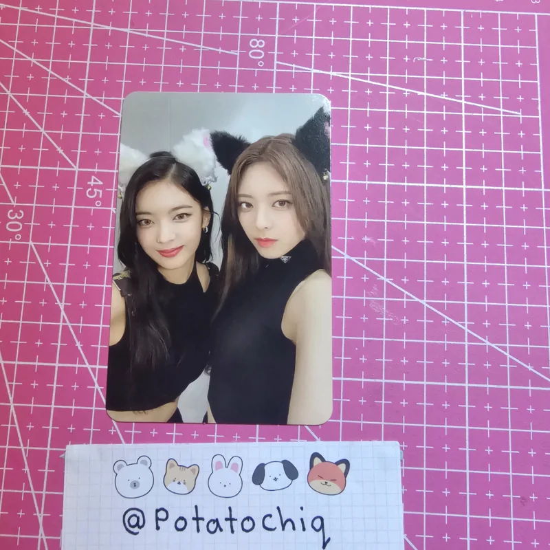 CHESHIRE STANDARD EDITION